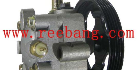 Reebang For Suzuki Grand Vitara Power Steering Pump J20A LM JB420 49100-65J00