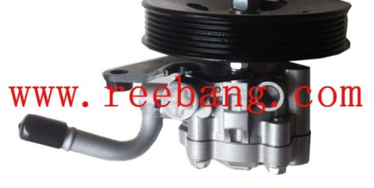 Reebang for Nissan Power Steering Pump KA24DE 49110-AD000