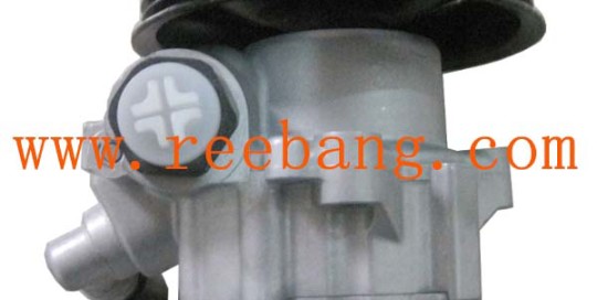 Reebang For Nissan Primera power steering pump 49110-2F200