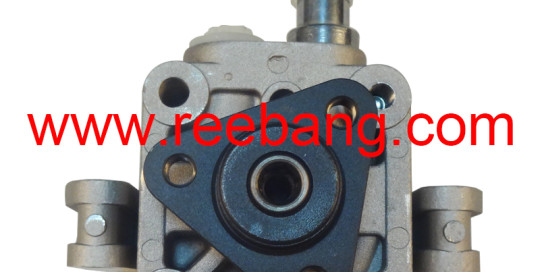 Reebang for BMW power steering pump E46 32416758595