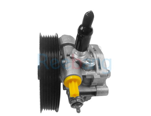 Reebang Power Steering Pump For Mitsubishi Lancer X 10  4450A107