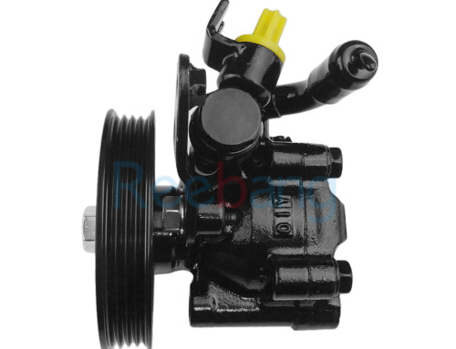 Reebang Power Steering Pump For Nissan A33 A32 VQ30 VQ25 PN08 49110-40U15 ,4911040U15